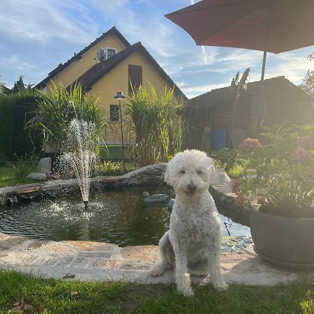 Ferienwohnung Eva Mureck Esterno foto