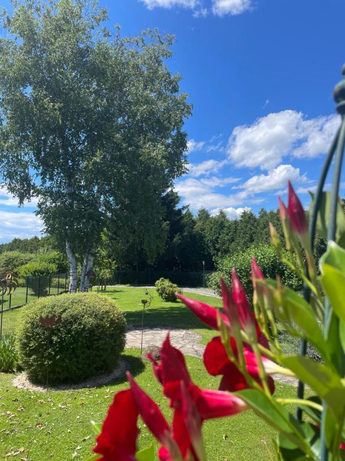 Ferienwohnung Eva Mureck Esterno foto