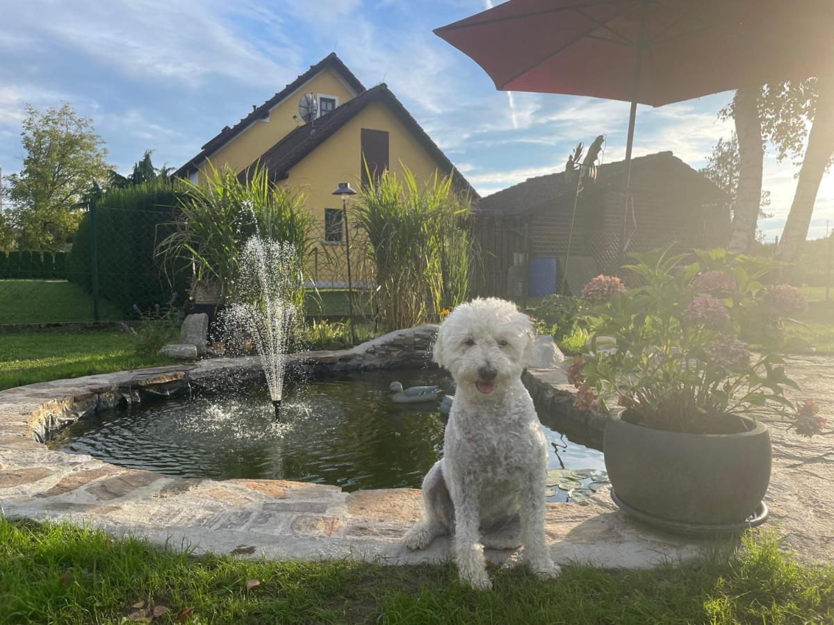 Ferienwohnung Eva Mureck Esterno foto